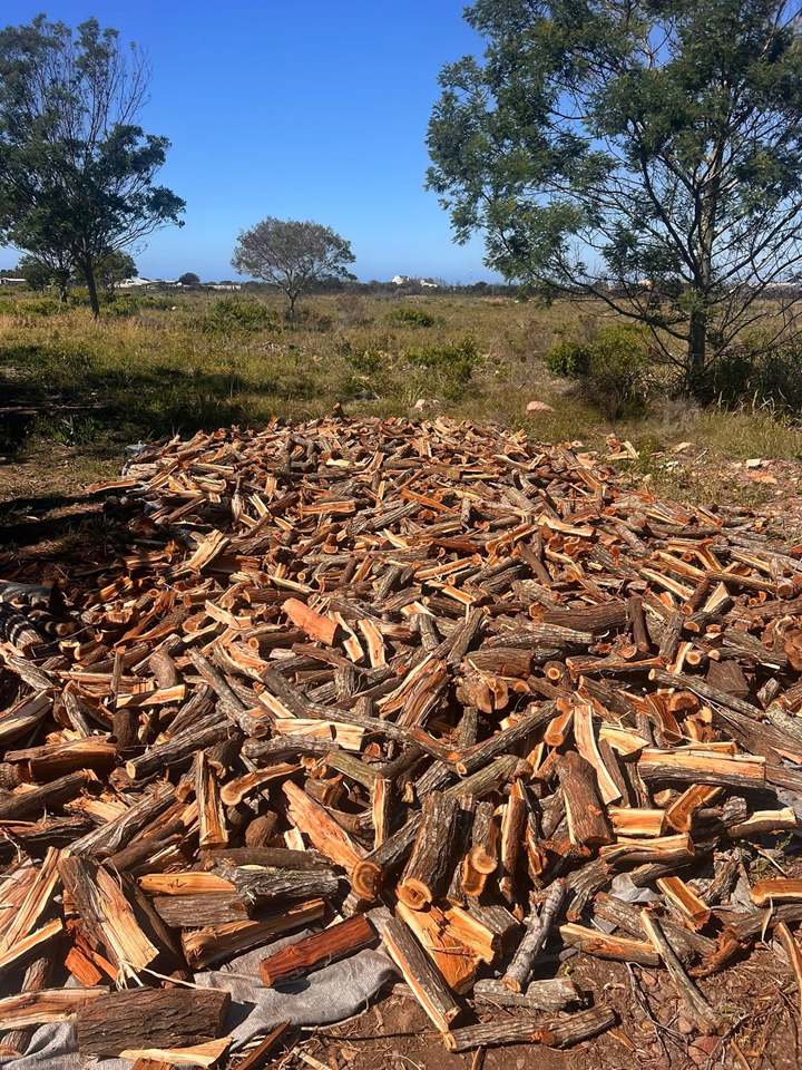 Gekapte braaihout op die werf